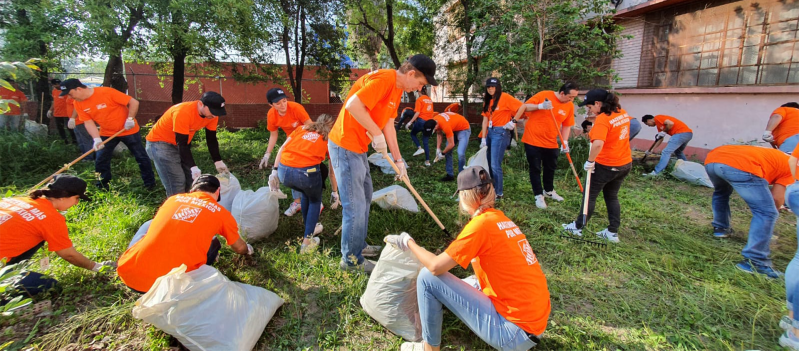 Voluntariado